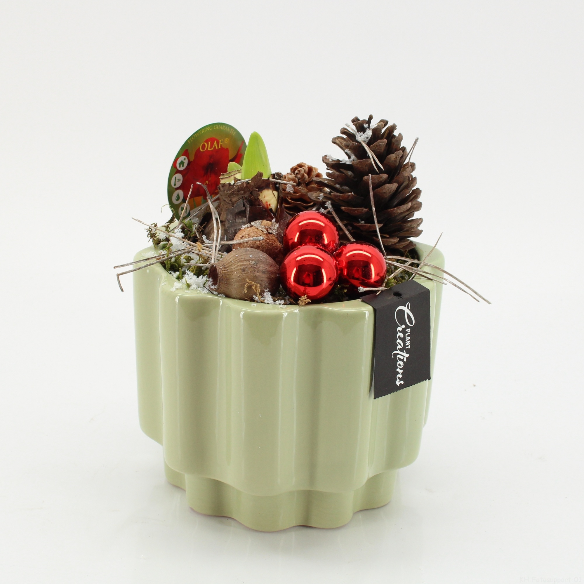 HICR-2534R Kerst Amaryllis, D 17 cm