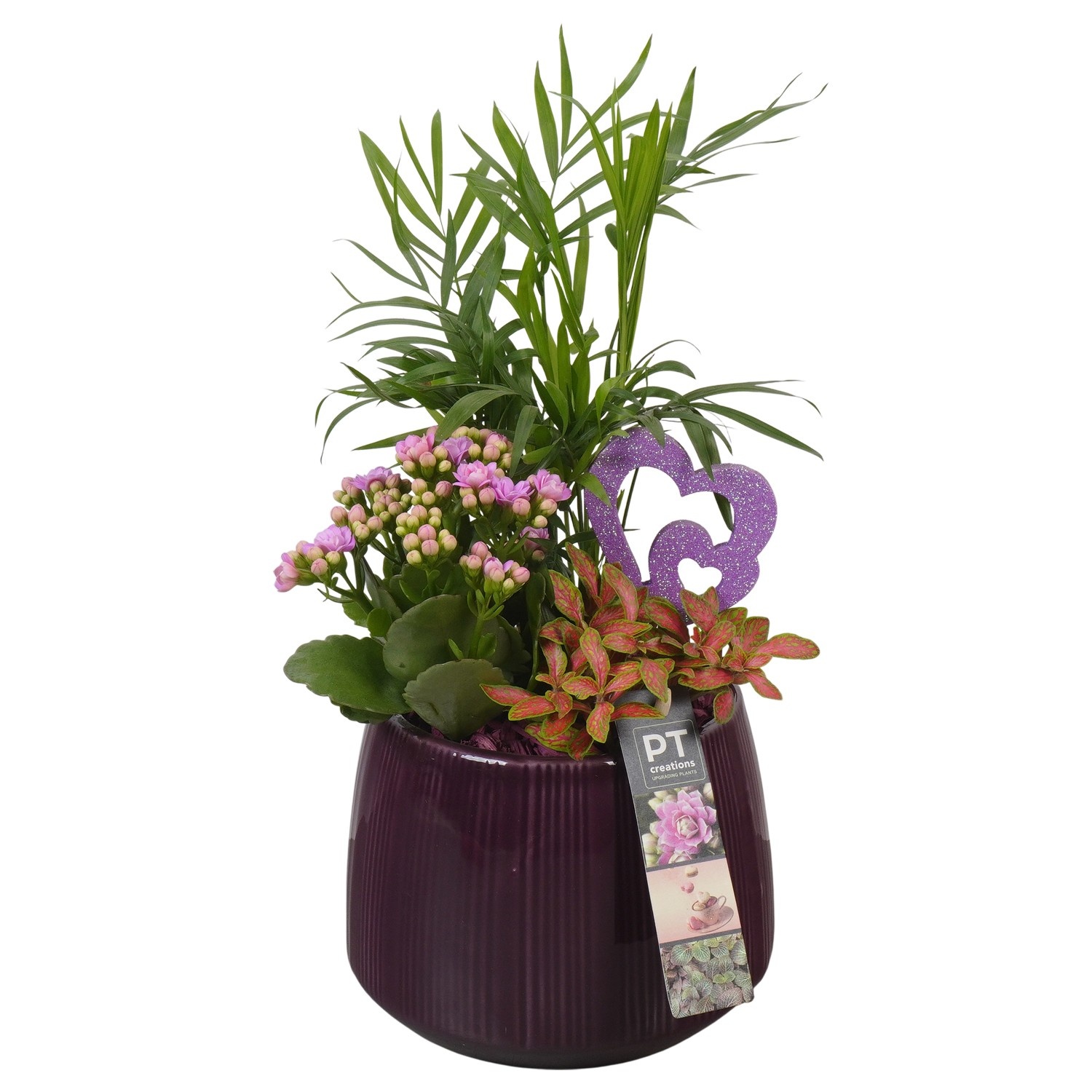 PTVMB2244 Arrangement Valentines-Mothersday in keramiek sierpot, D 16