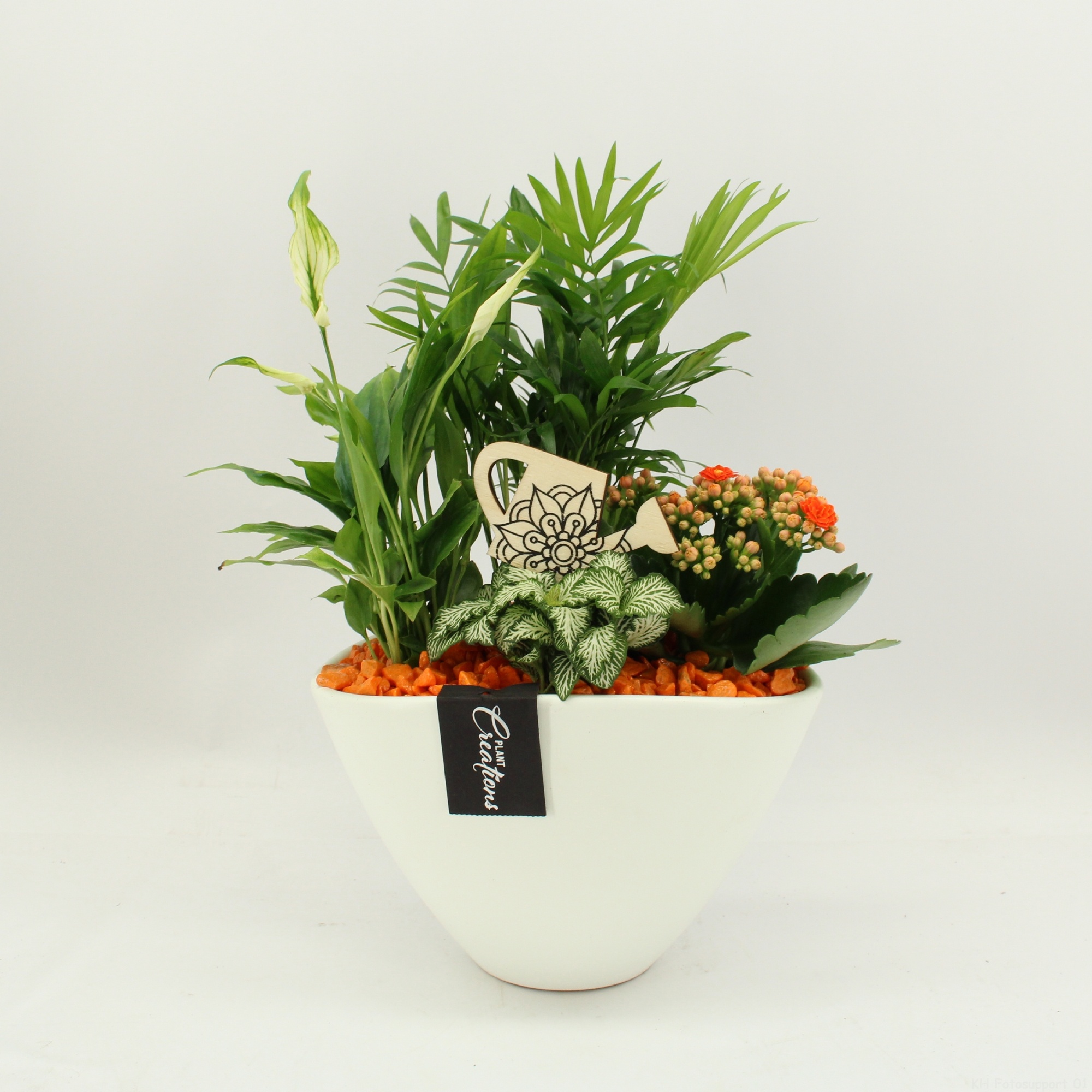 FDCR-2611OR Basic Fundamentals, D 21