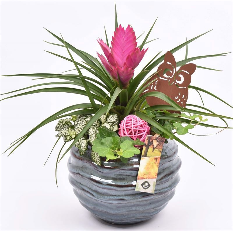 Ker. sierpot blauw 16cm, D 16