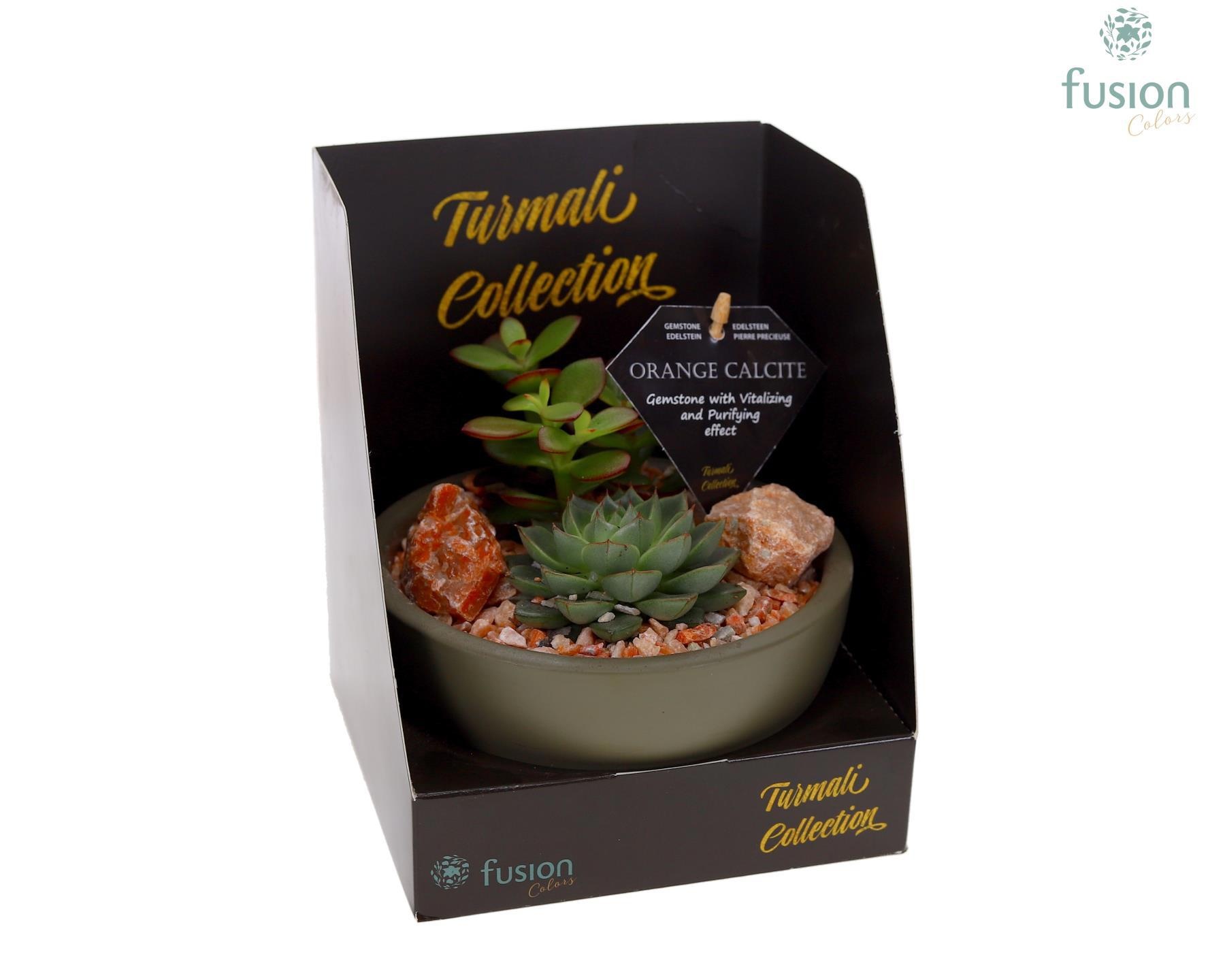 Schaal keramiek Moon Small groen Turmali Collection edelstenen met Succulenten, D 15