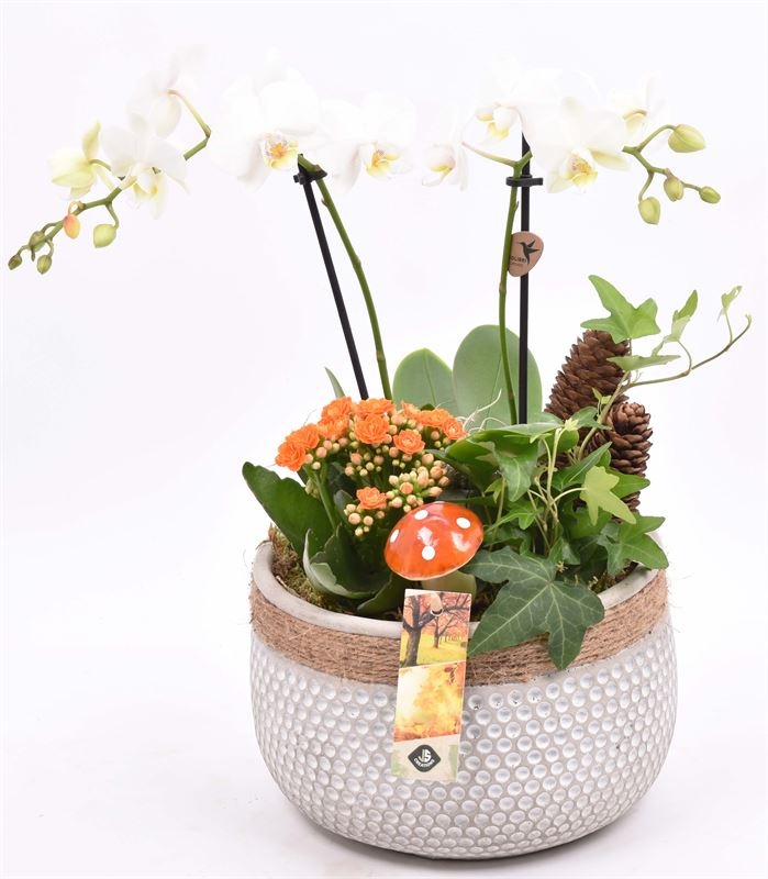 Cement pot met touw 22cm, D 22 cm