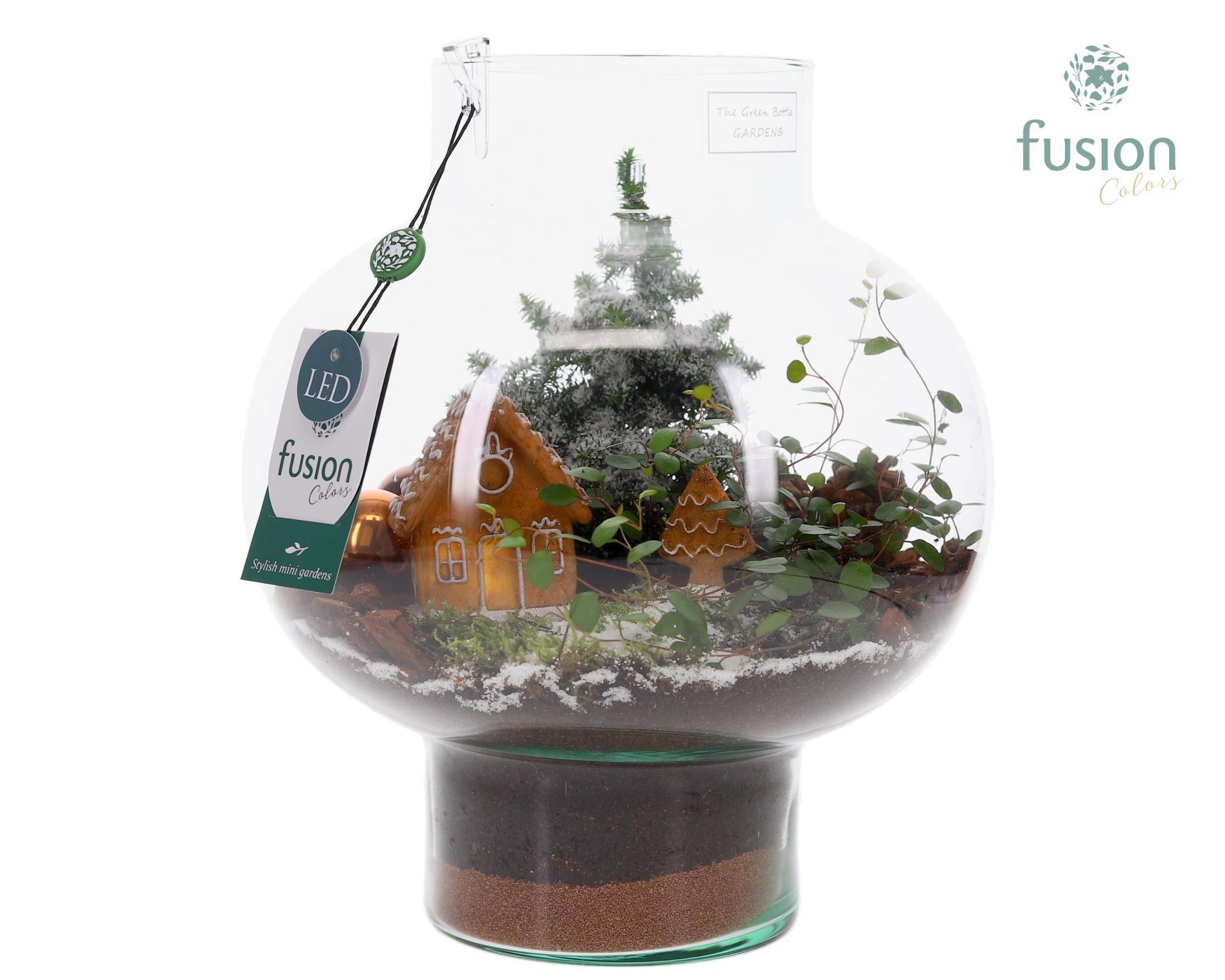 Green Bottle Laura Medium met Kerst arrangement, D 26 cm Green Bottle Laura Medium met Kerst arrangement, D 26 cm
