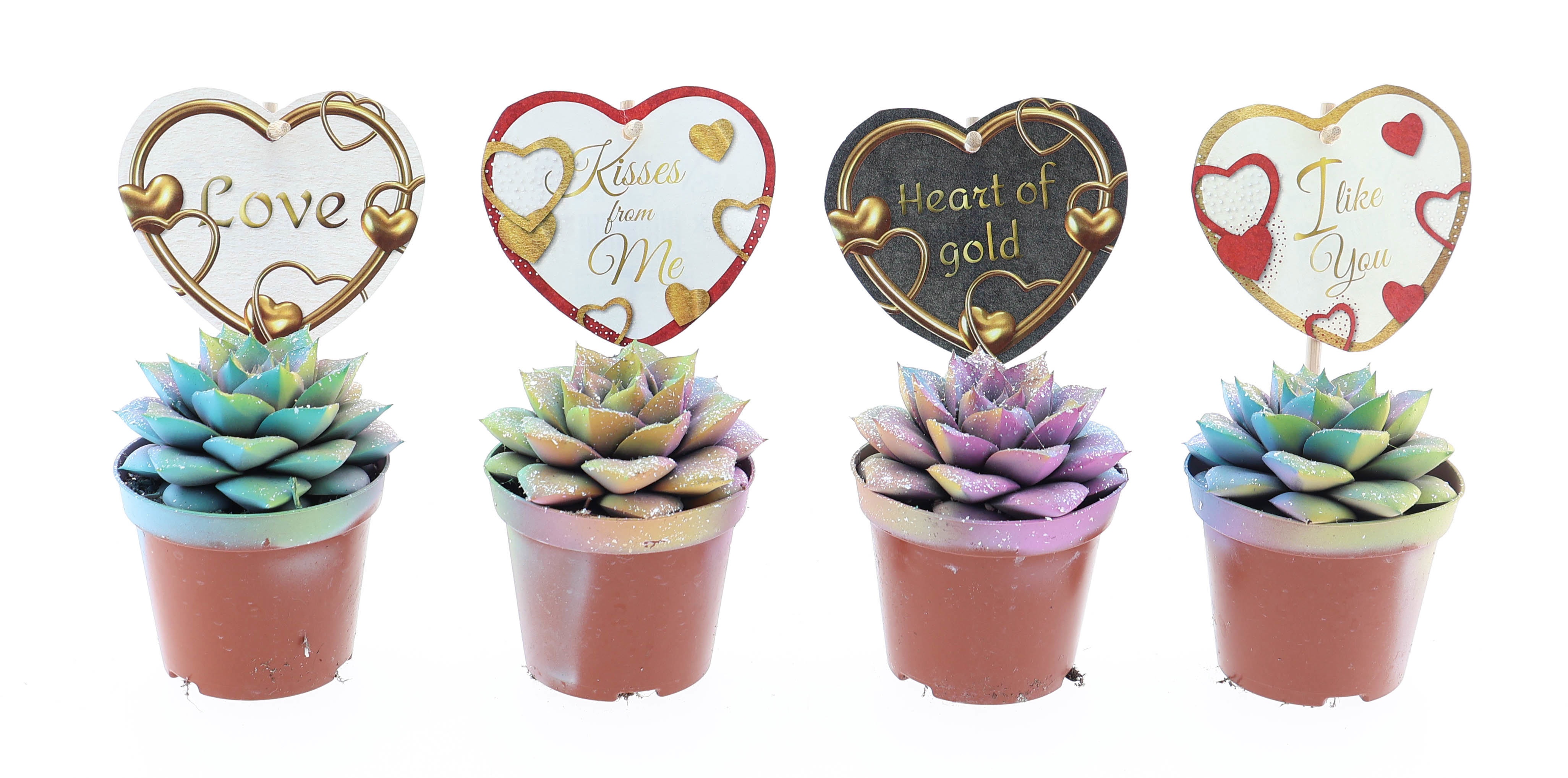 Purper multi glitter + love etiket, D 8,5