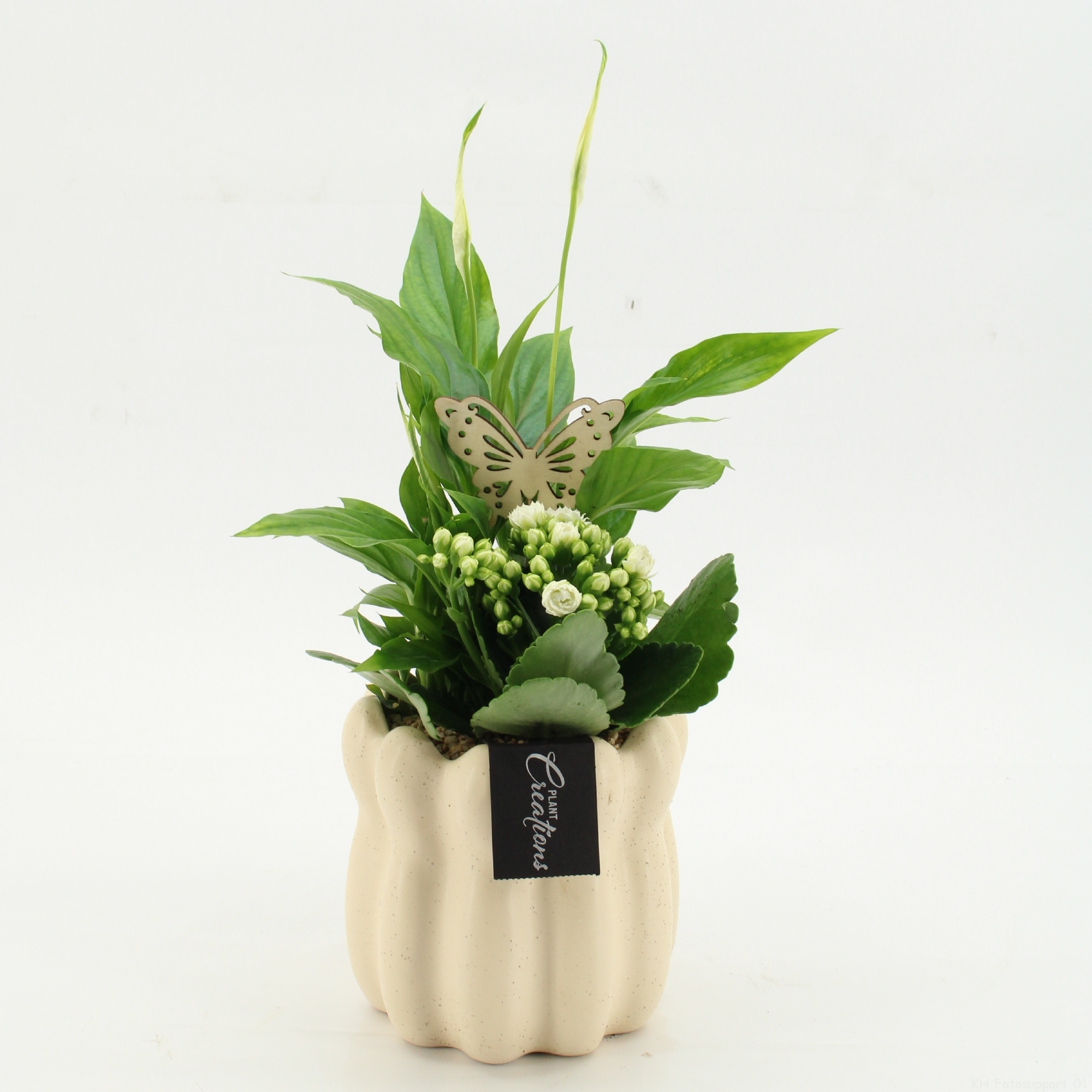 ESCR-2613W Essentials, D 14