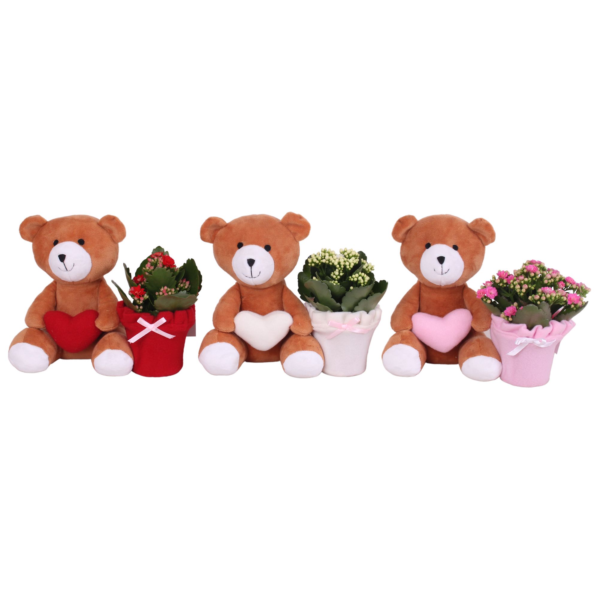 Valentine Arr. Indoor Pluche Teddy Bear with Heart Ø25cm 1PP, D 25