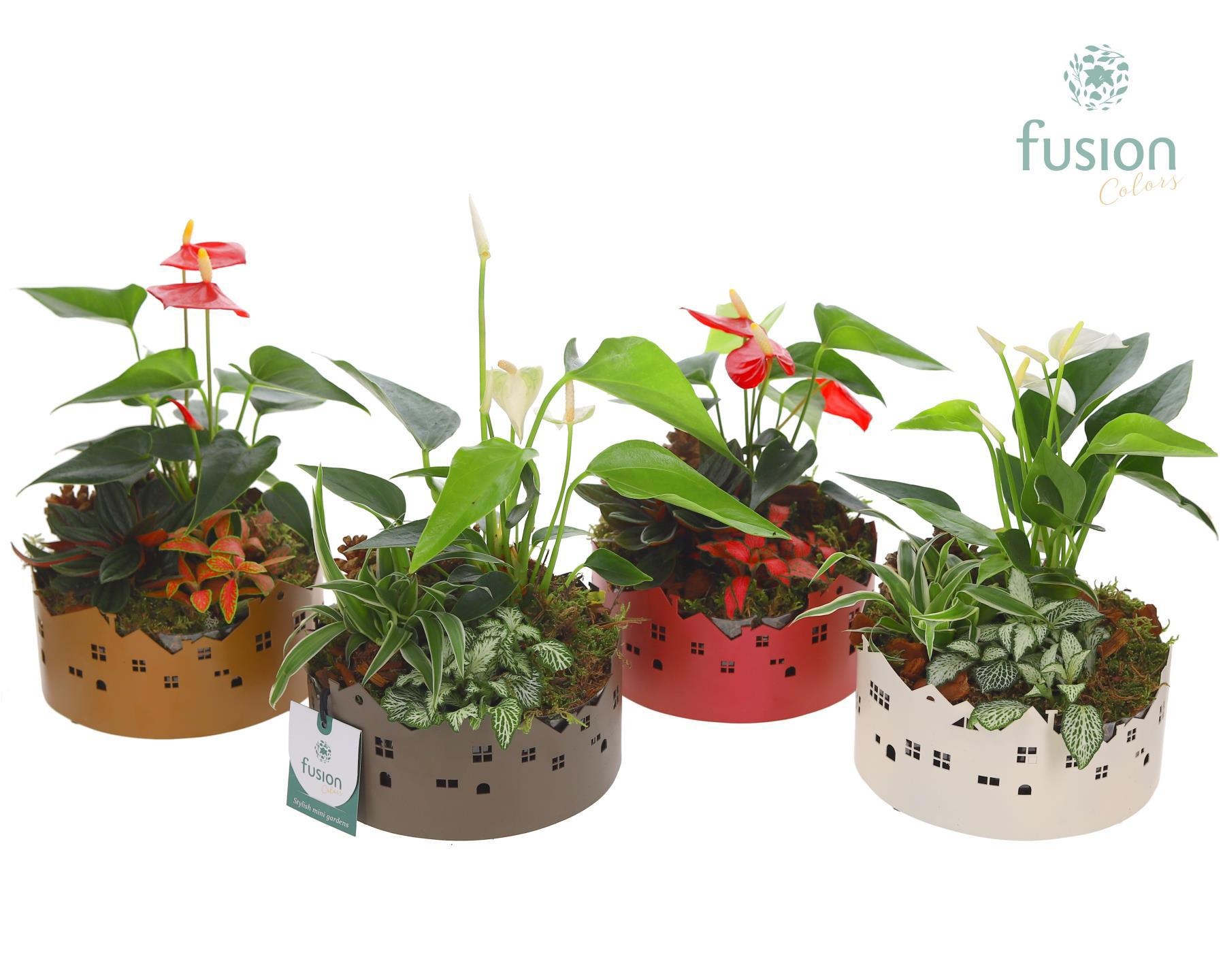 Zinken schaal Huisjes Small met Arrangement, D 15 cm