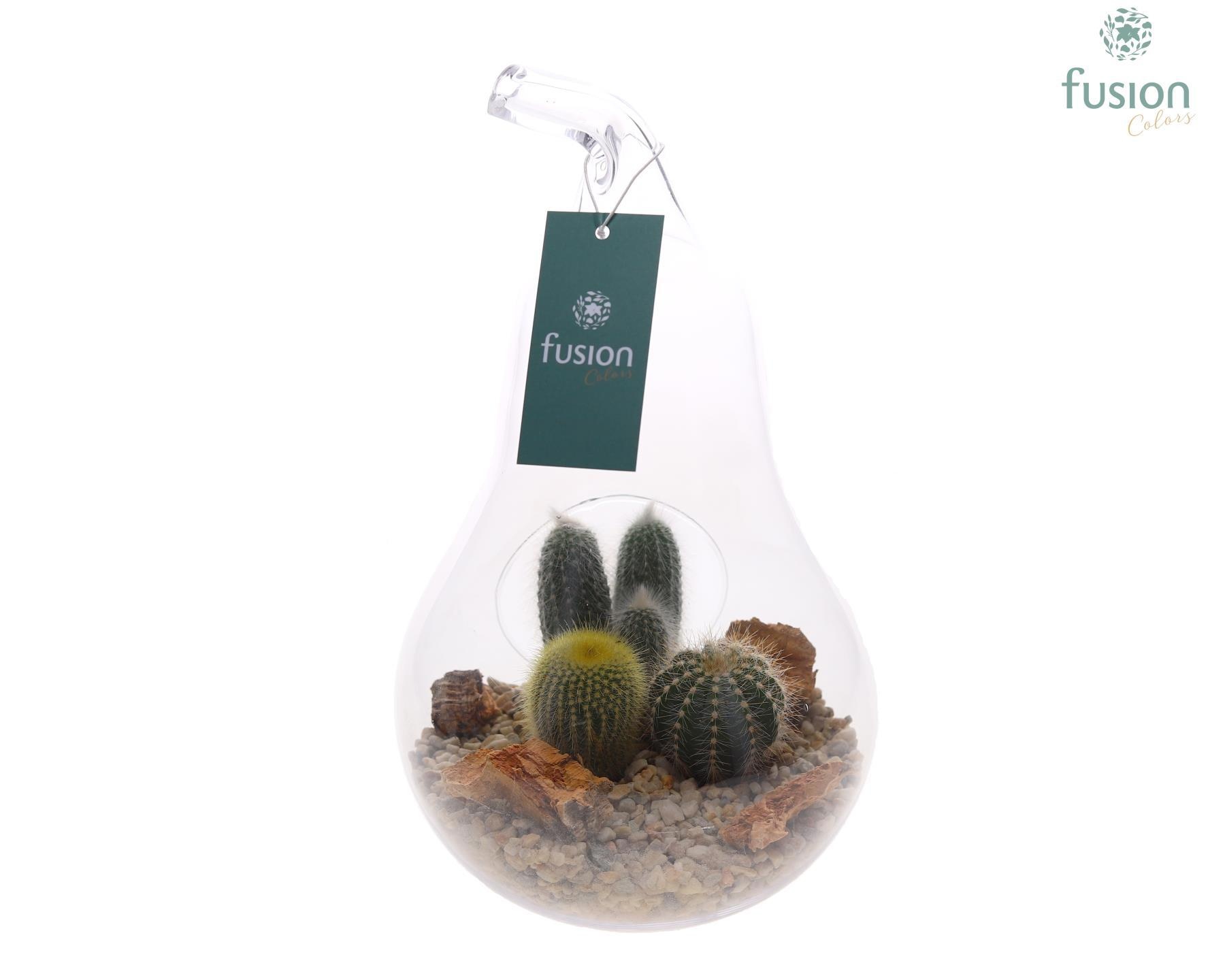 Glazen peer met Arrangement D17 H30, D 17