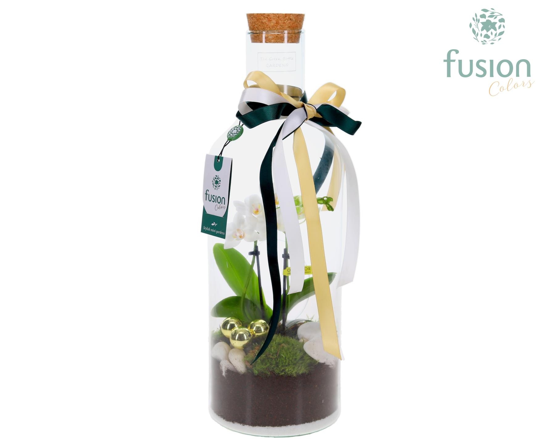Green Bottle Fles Medium met Kerst arrangement, D 15 cm