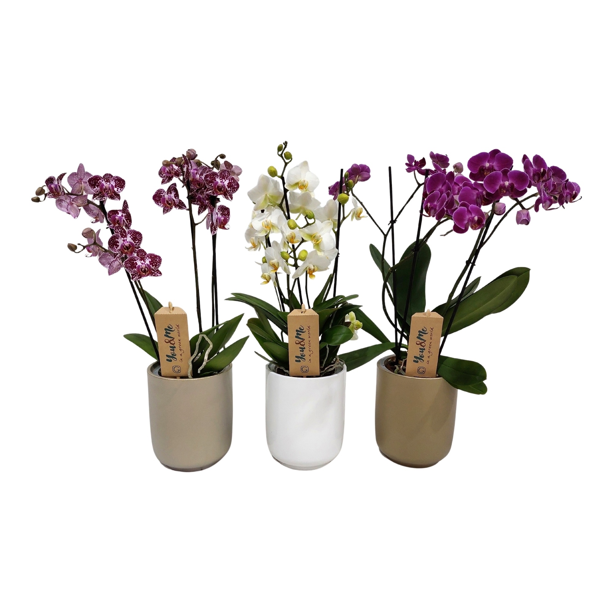 Multifl. 3tk mix in 3 colors ceramic, D 12 cm