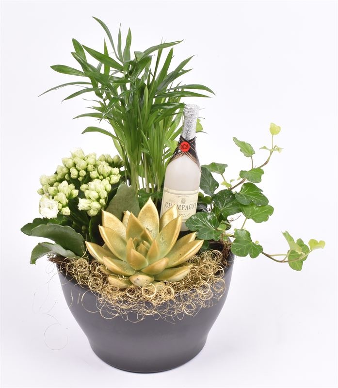 Ker. schaal mat zwart 15.5cm, D 16