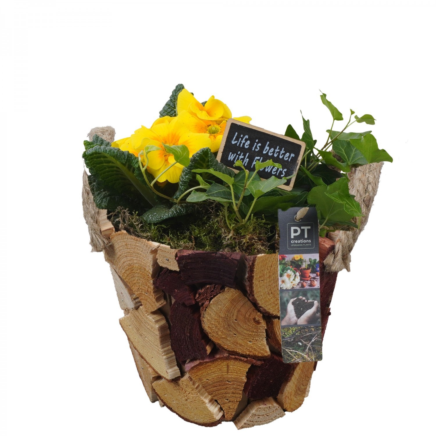 PTBM3887 Arrangement Flower Bulbs Mix in houten pot, D 19
