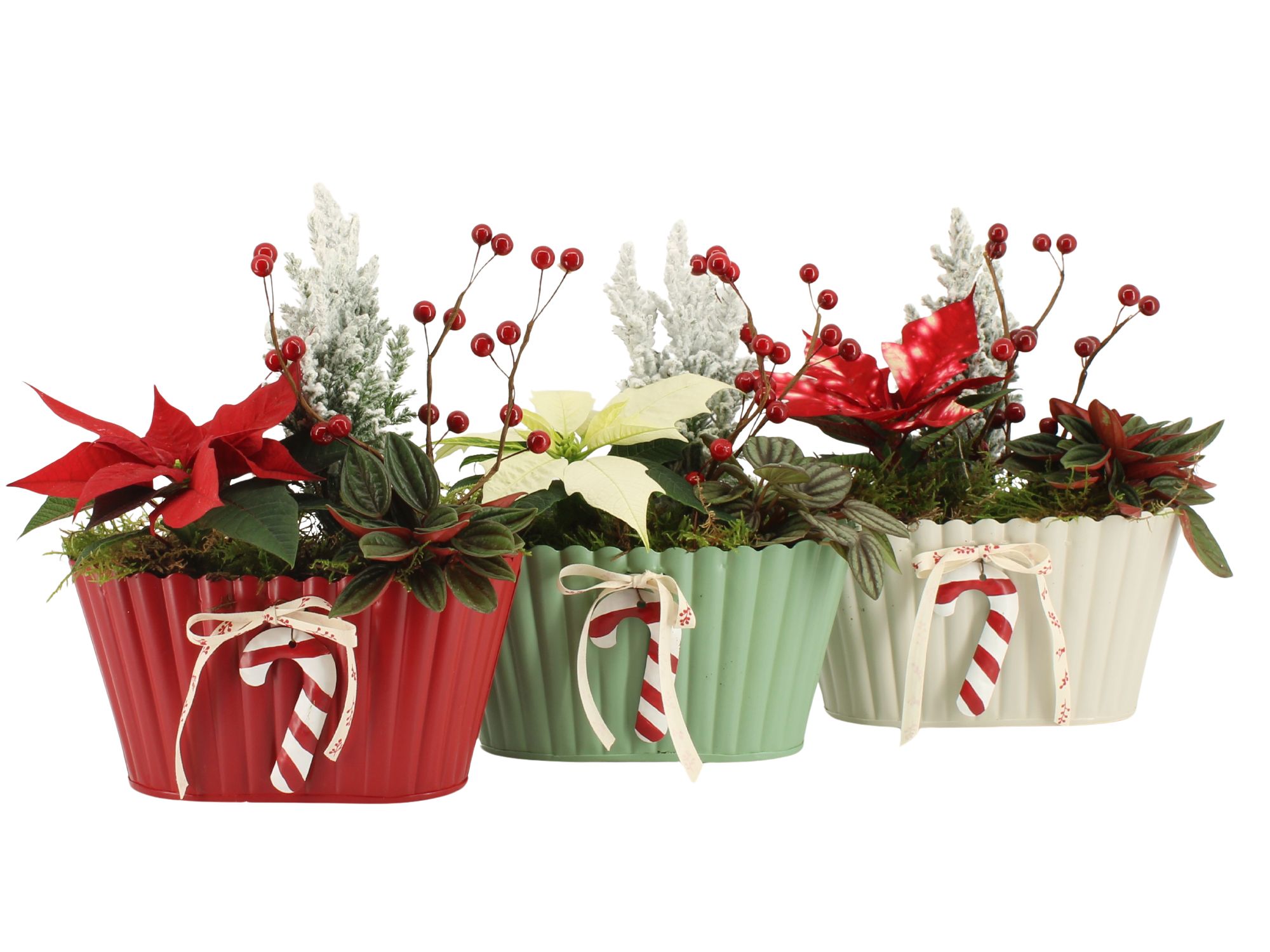 61823: X-mas arrangement, D 20