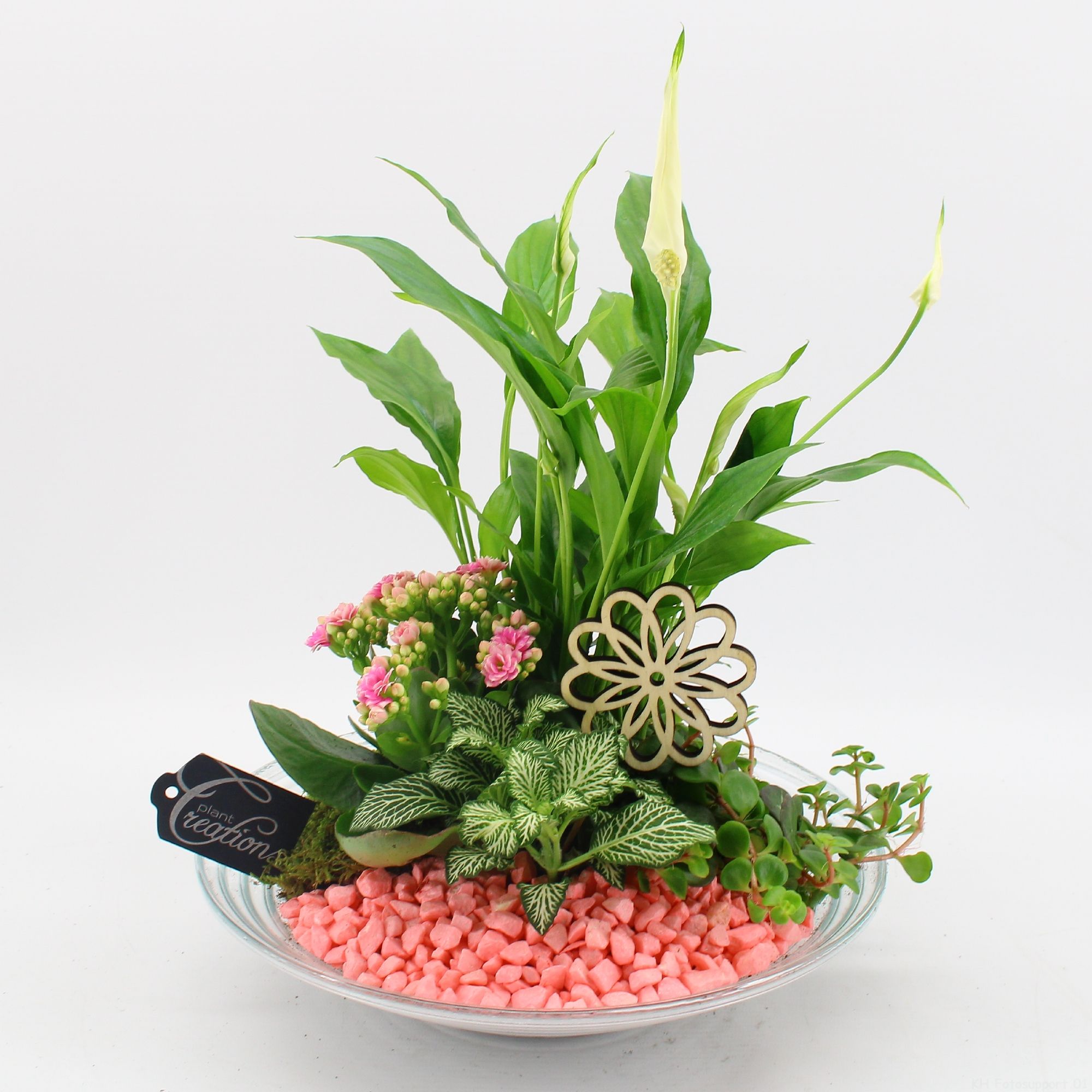 FDCR-2600RZ Basic fundamentals, D 30