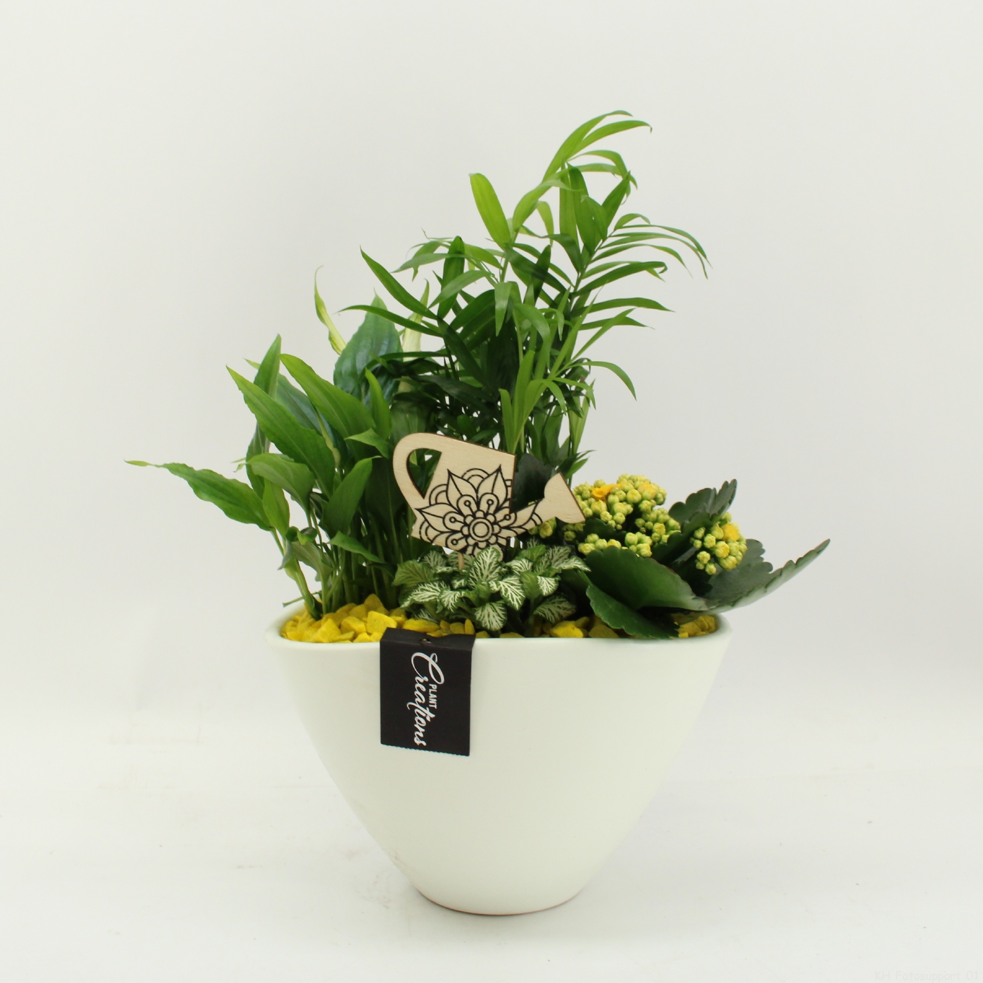 FDCR-2611G Basic Fundamentals, D 21