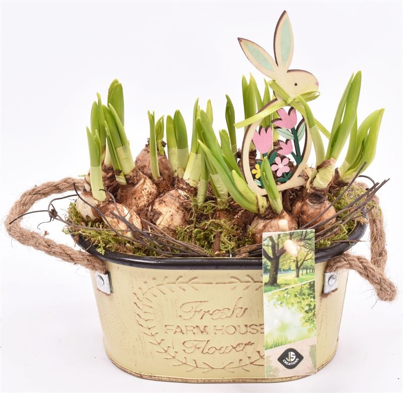 Zink ovaal met touw17x11cm, D 17