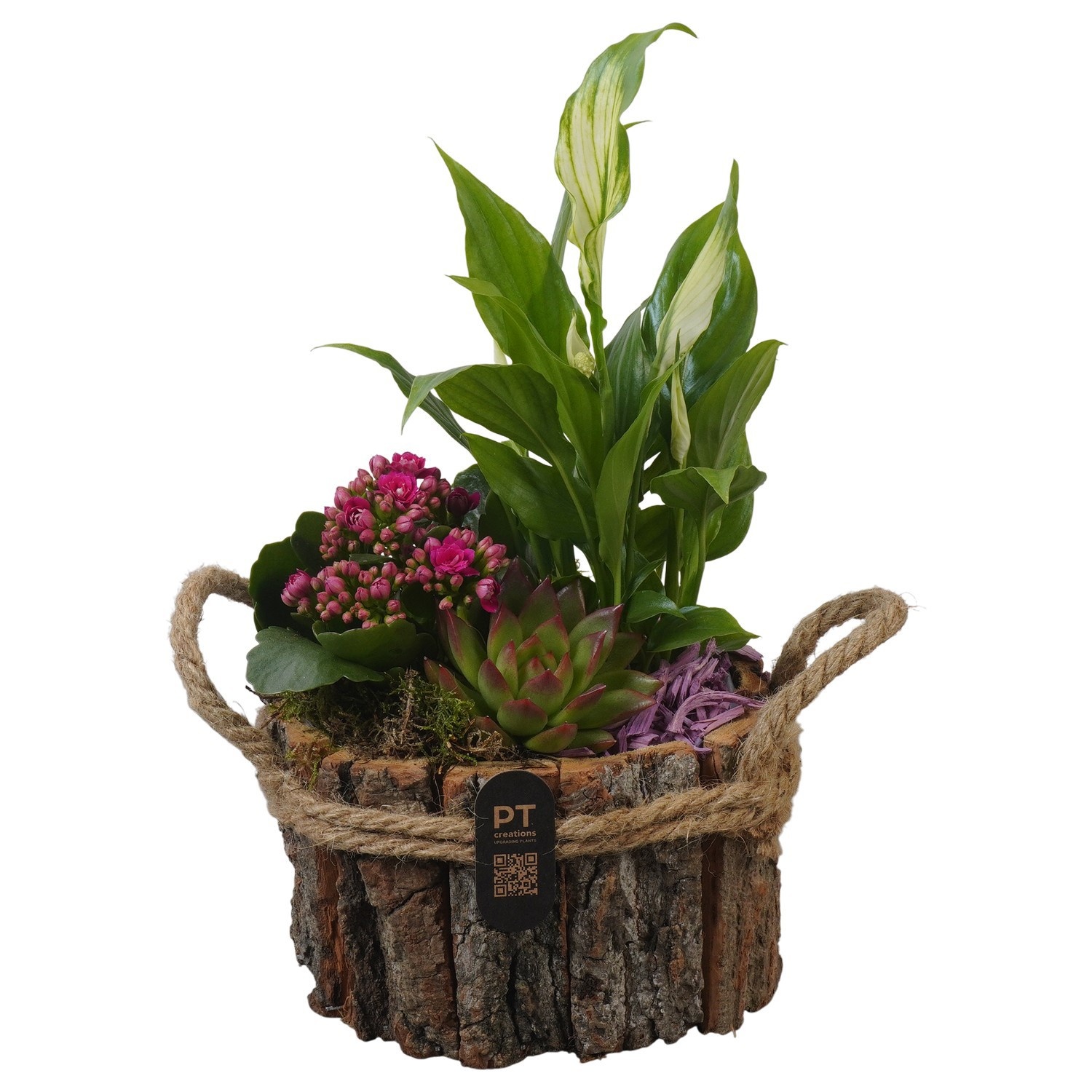 PTIB5256 Arrangement Indoor in houten bak, D 17