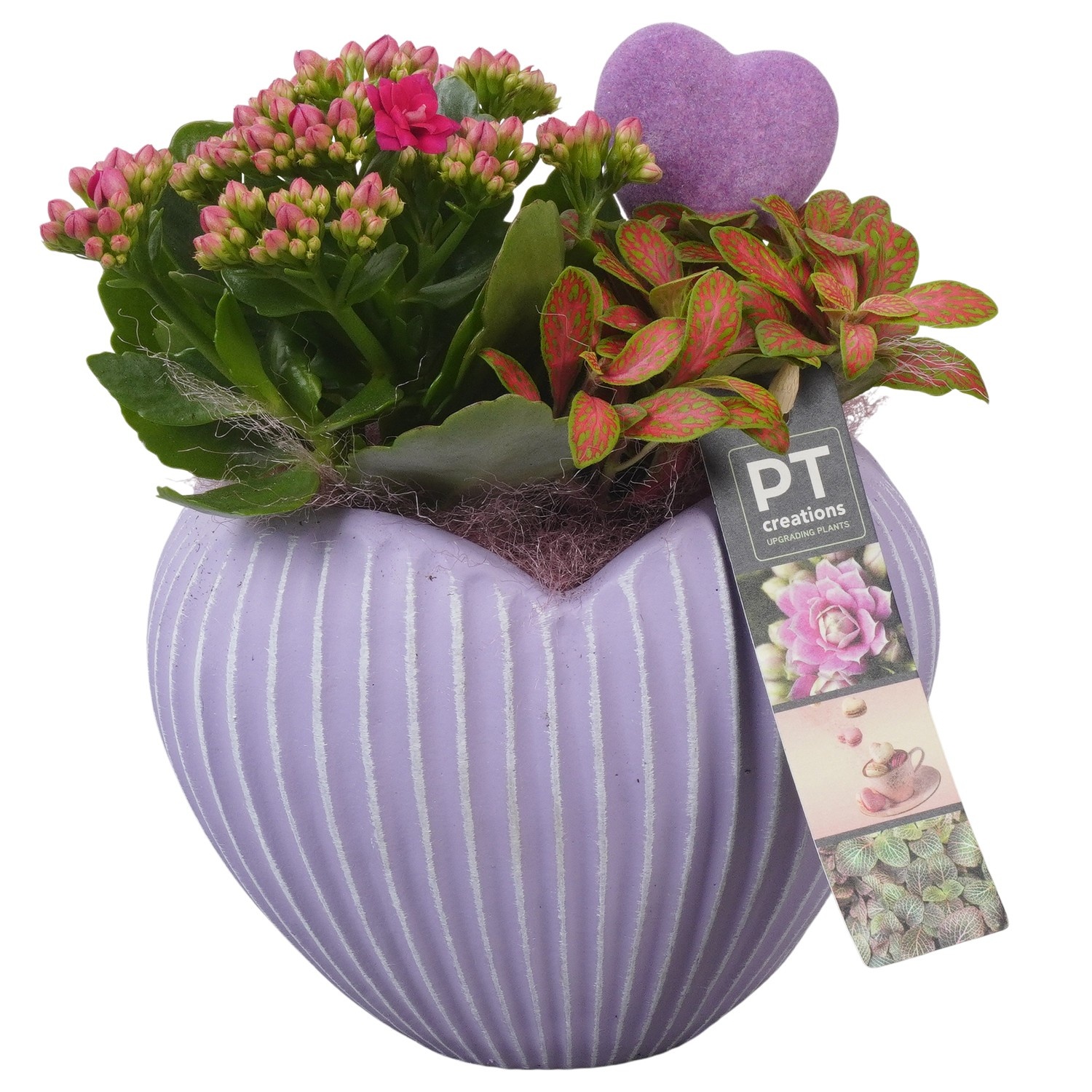PTVMB2311 Arrangement Valentines-Mothersday in beton hart, D 15