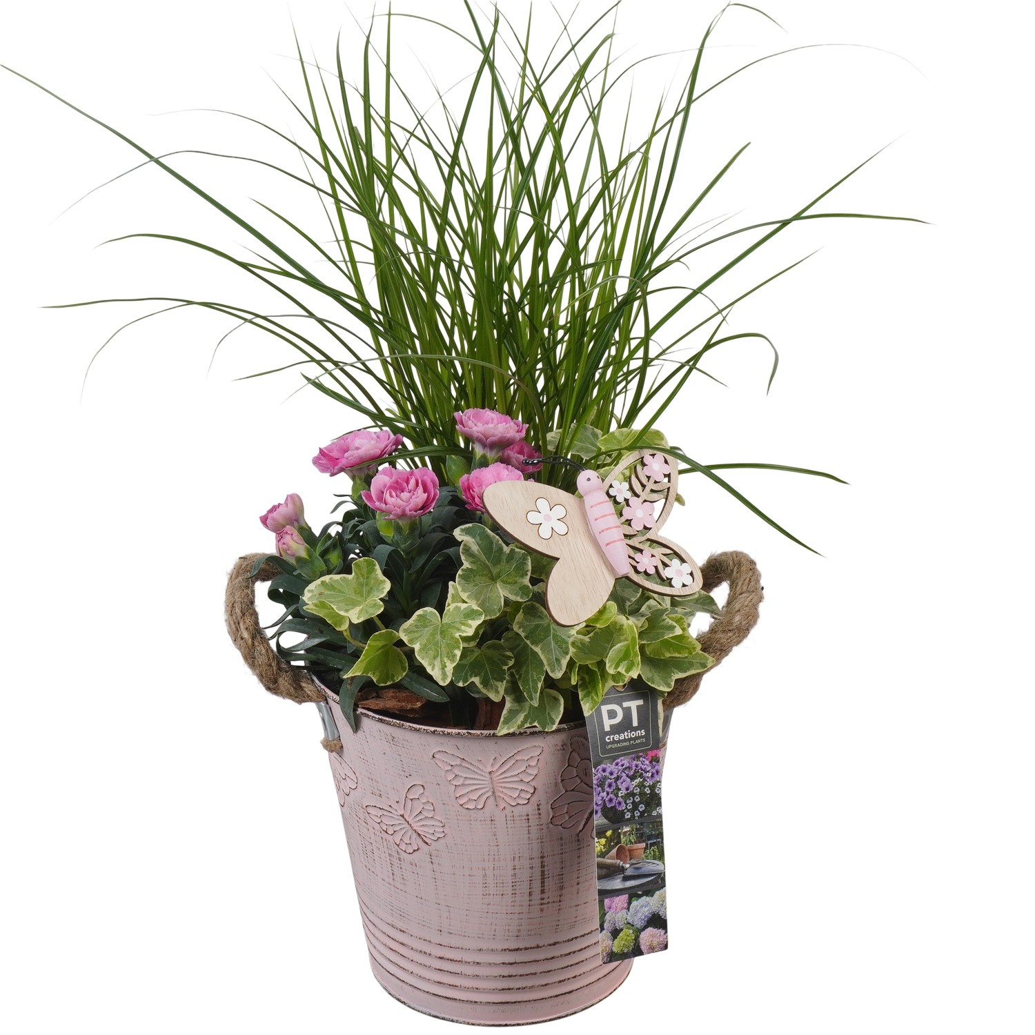 PTPP6804 Arrangement Patio in metalen bak, D 15