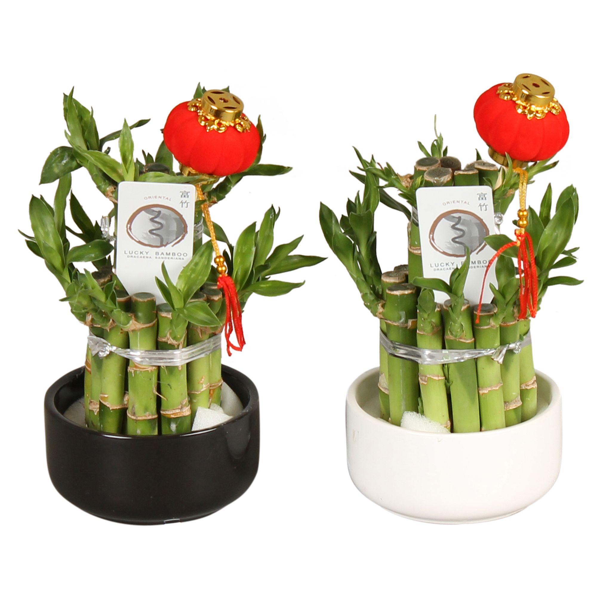 Lucky Bamboo Round 2B in Ceramic Black&White Ø09cm, D 9