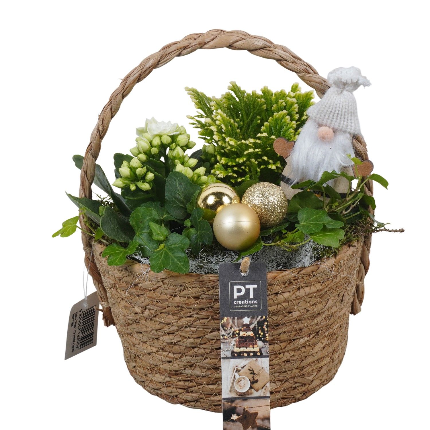 PTCHG5686 Arrangement Christmas Gold in rieten mand, D 18 cm