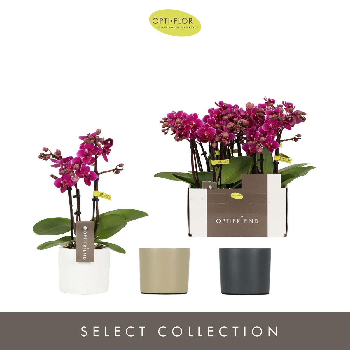 Optifriend Emma 3 spike in Toscane Mix, D 7 cm