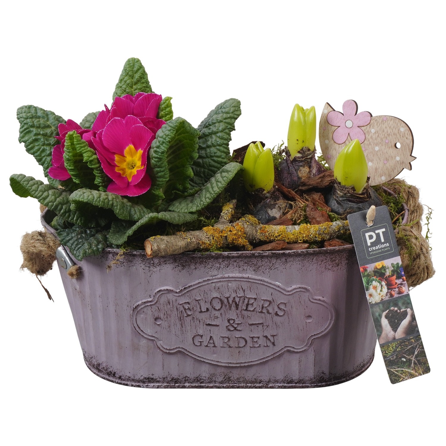 PTBM3766 Arrangement Flower Bulbs Mix in metalen pot, D 24