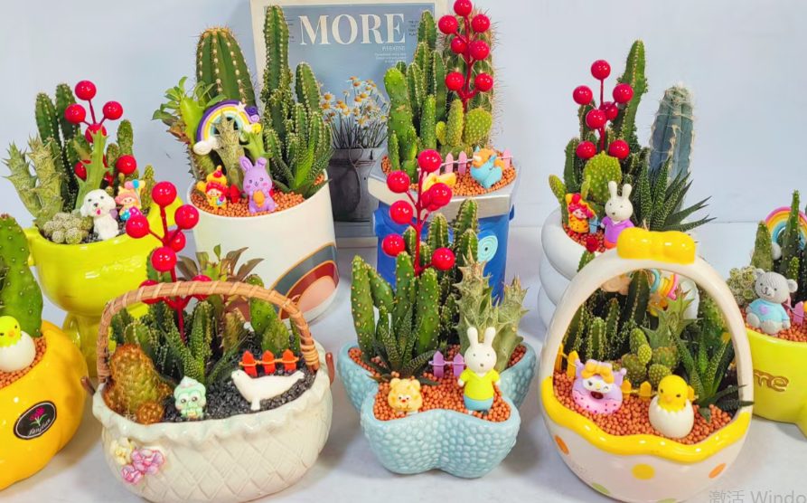 кактус Мини Арт Гарден(б тайп) 10 14