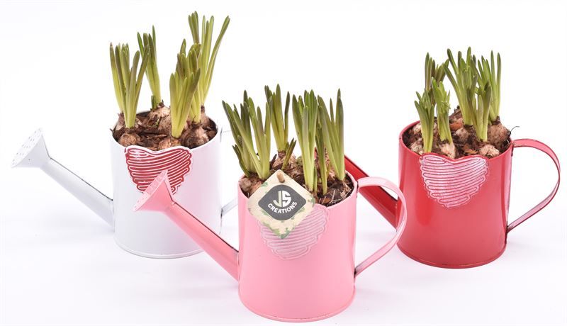 Zink gieter mix hart 10cm, D 10