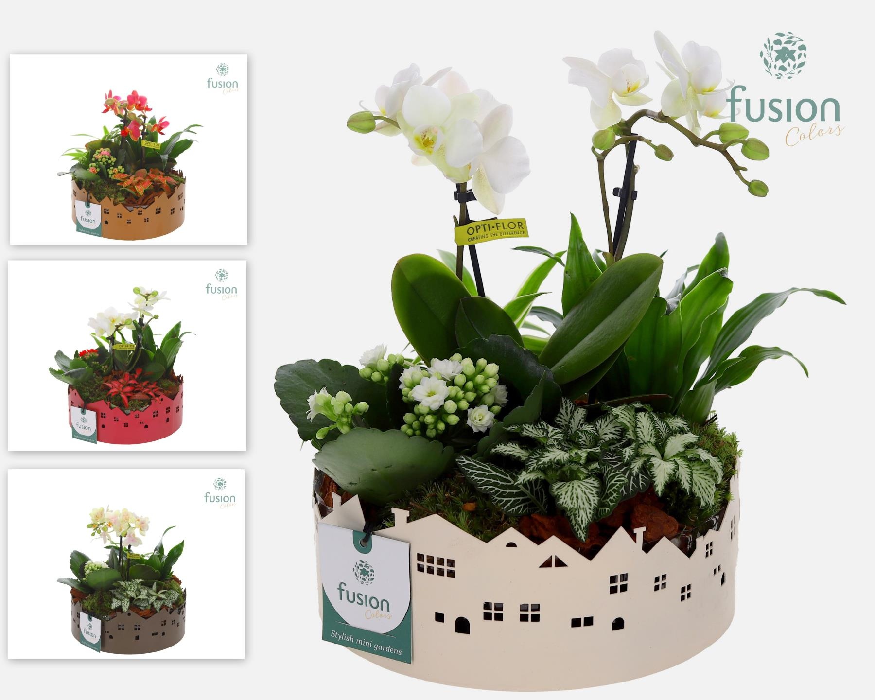 Zinken schaal Huisjes Medium met arrangement, D 19 cm