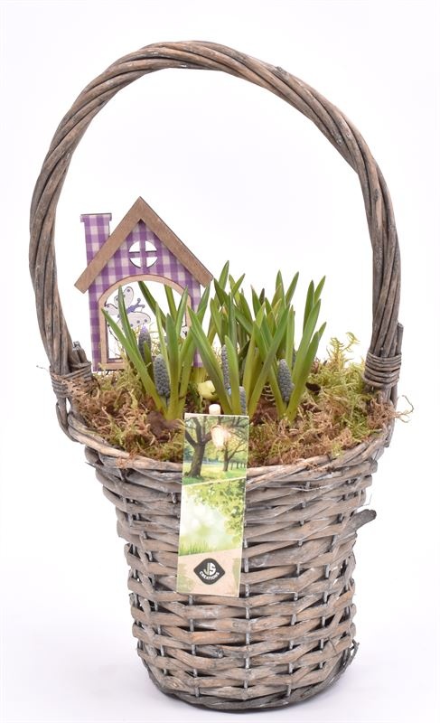 Wilg hengselmand gy 17cm, D 15