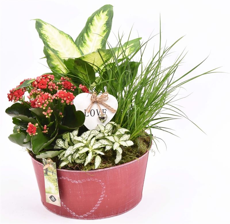 Zink schaal rood met hart 20cm, D 23