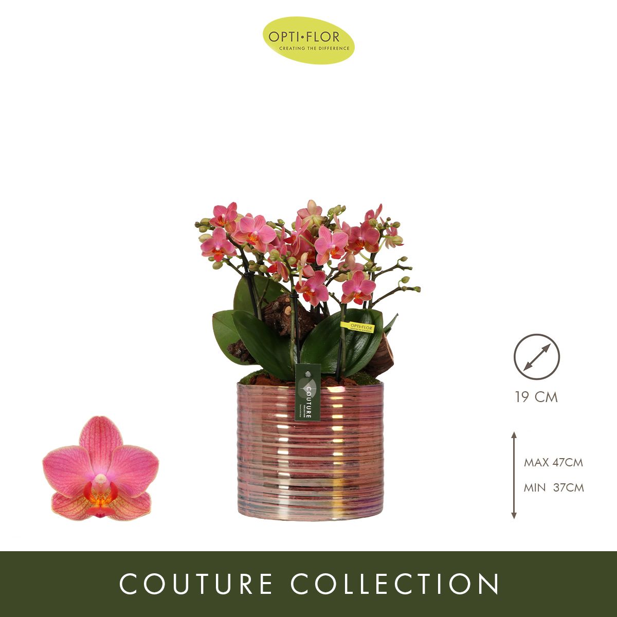 N°54 Boquetto Charme, D 19 cm