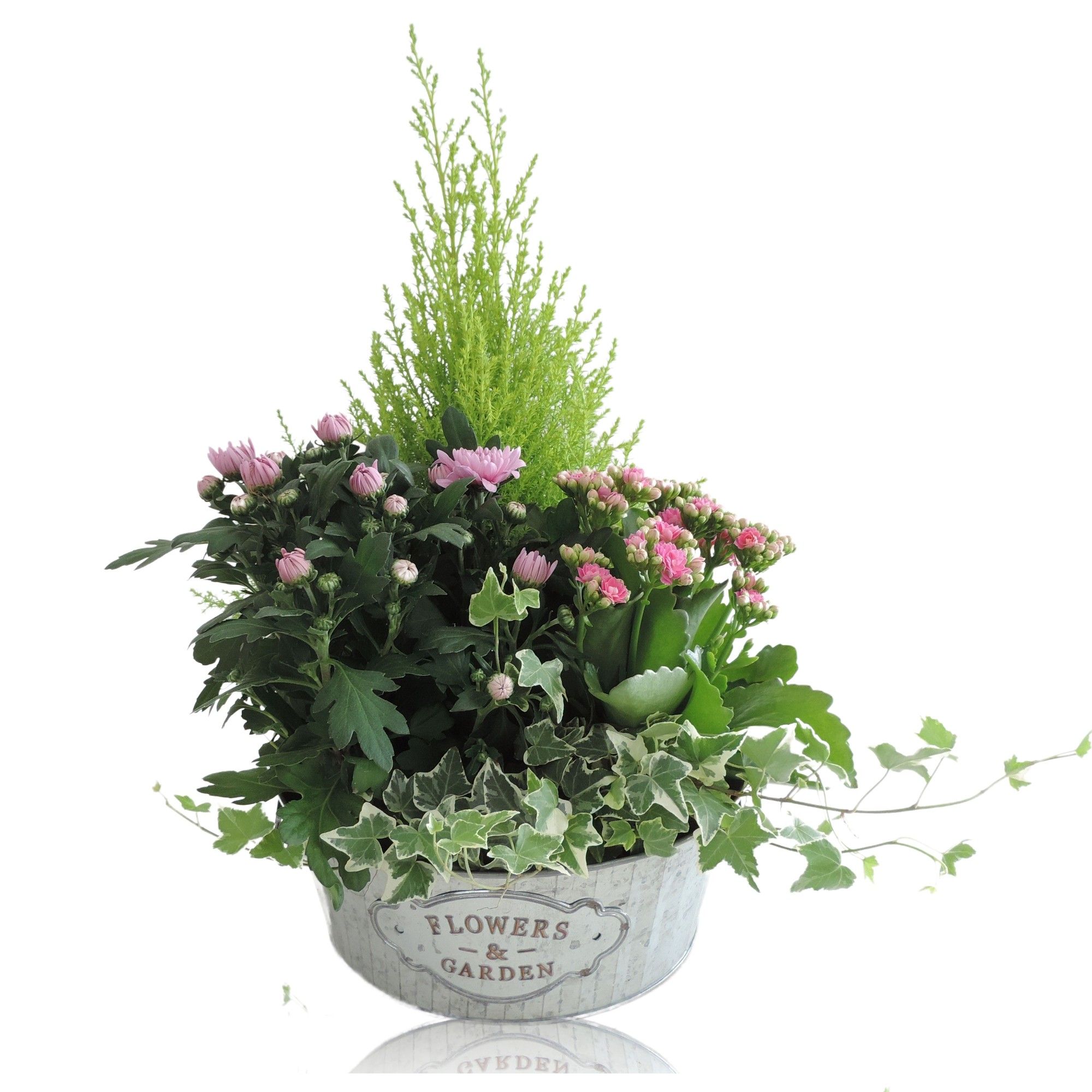 Collectie Dex Arrangement in Schaal 25 cm, D 25