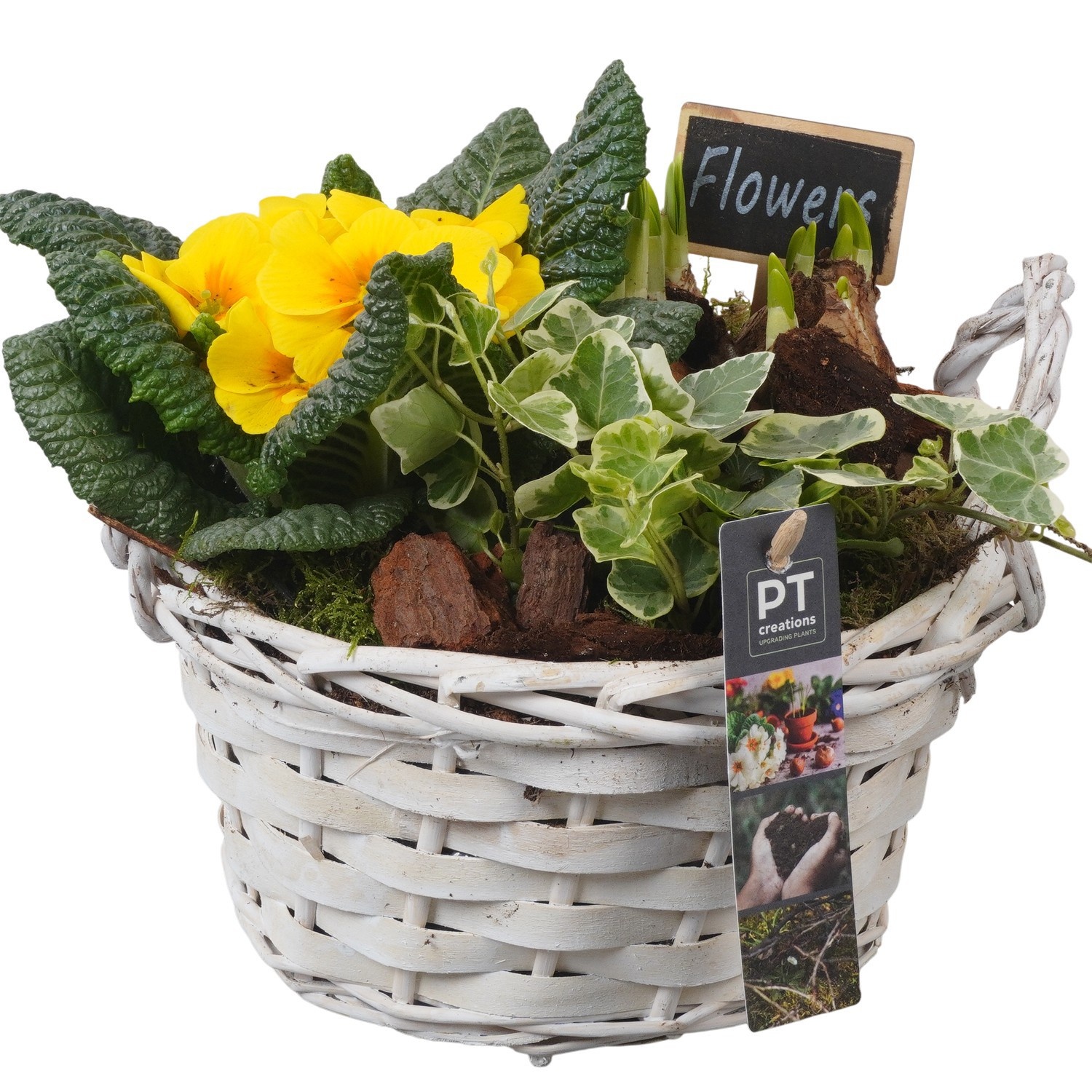 PTBM3858 Arrangement Flower Bulbs Mix in rieten mand, D 20