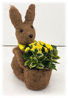 TDM PASEN 26 : Salim Konijn met diverse planten, D 10