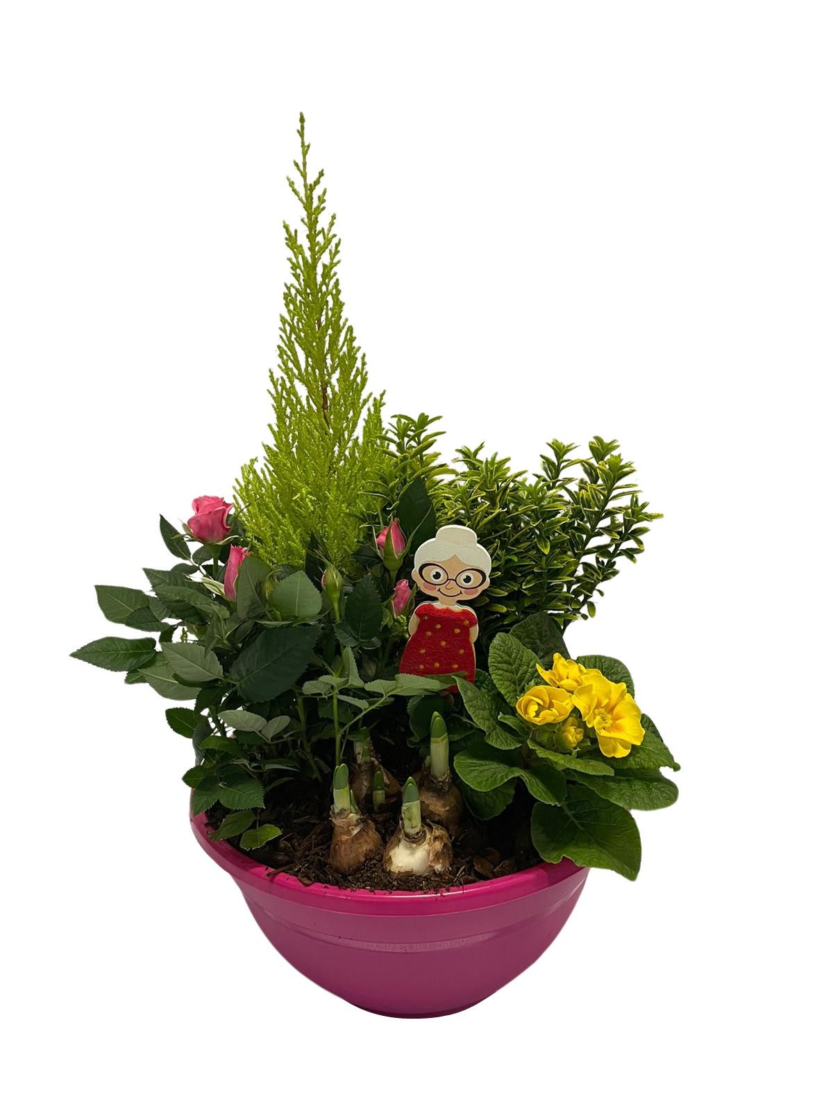 Buitenschaal arrangement GM3 Middel Fuchsia, D 27