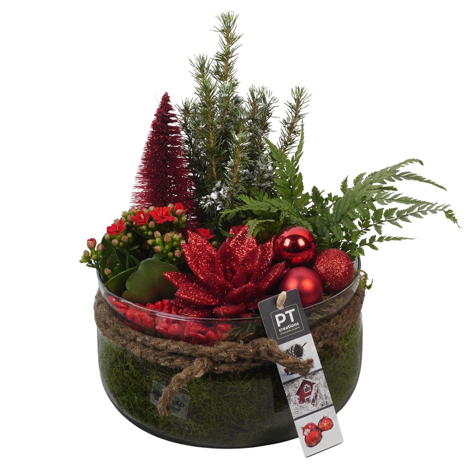 PTCHR7448 Arrangement Christmas Red in glas schaal, D 19 cm