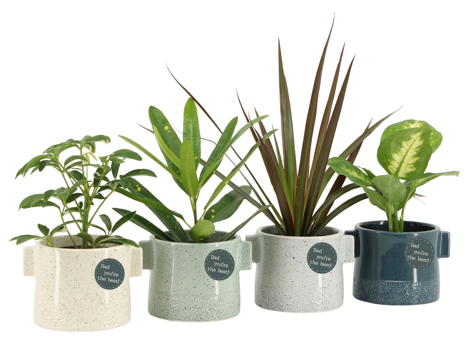 21780: Solutionss Father's day, D 8,5