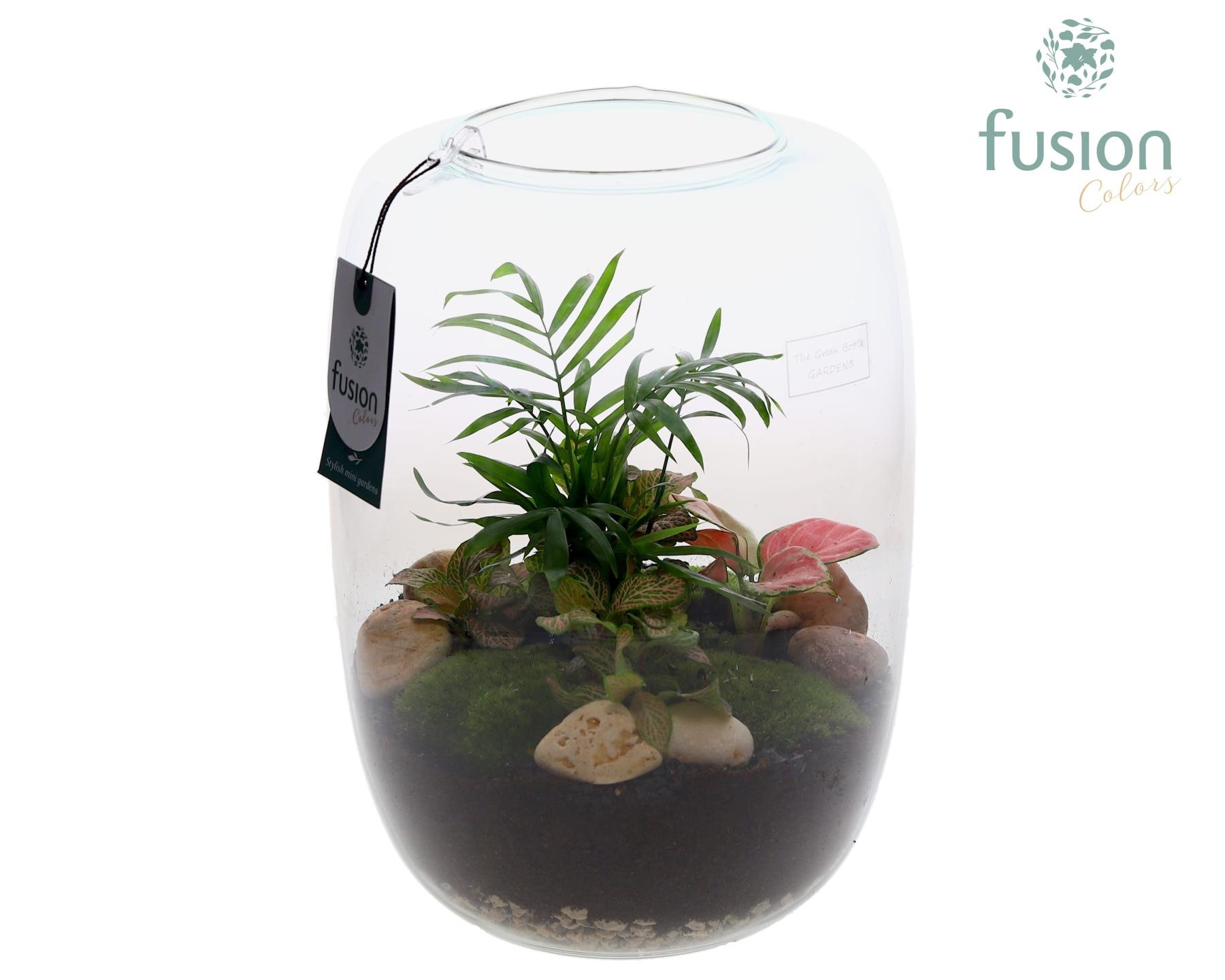 Green Bottle Isabella XLarge met arrangement, D 23