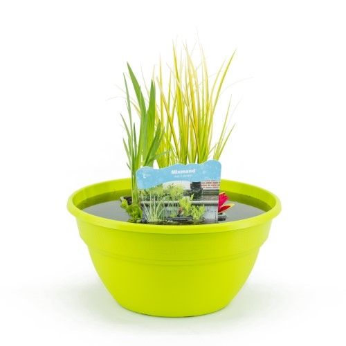 Terrasschaal Lime met mixmand, D 40