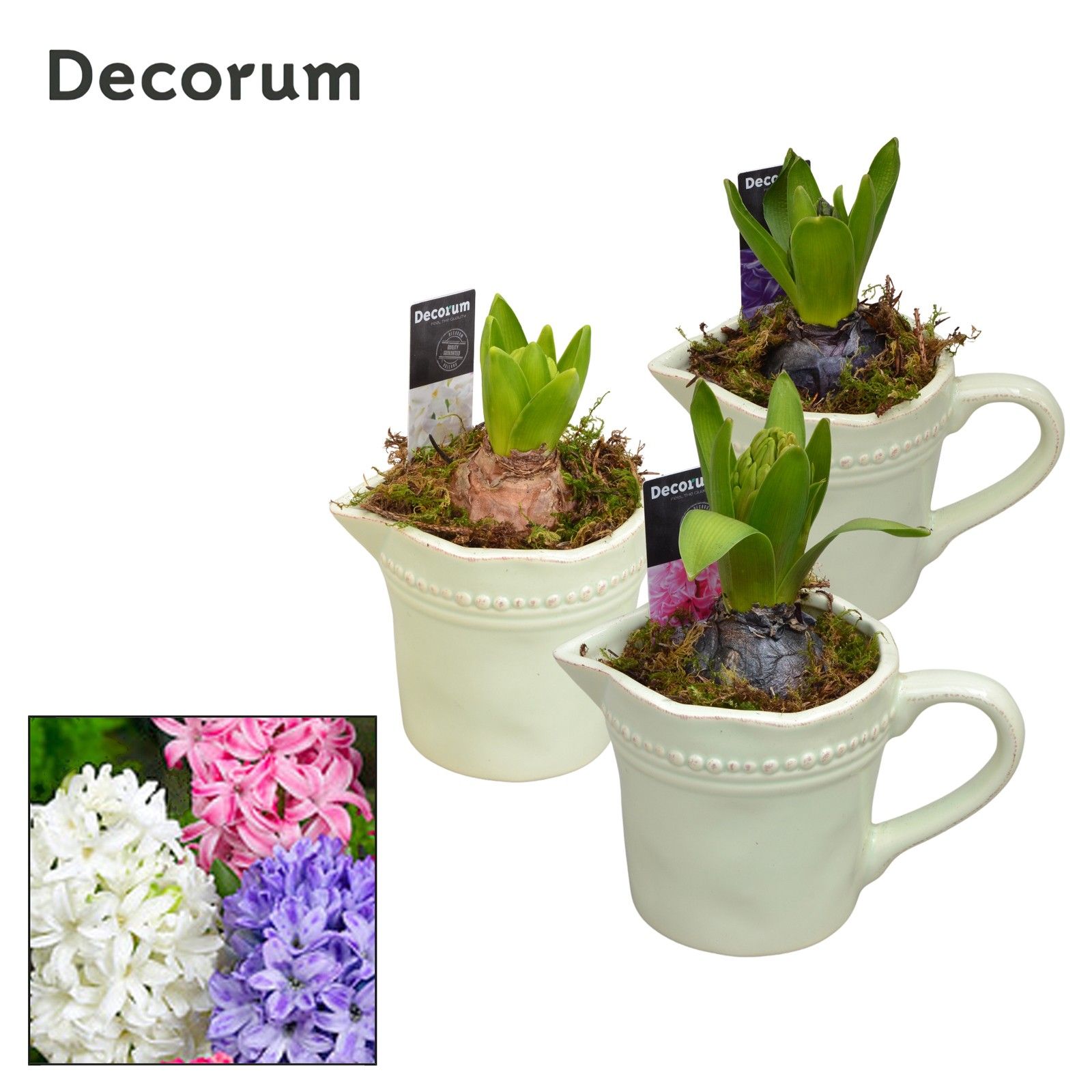 Hyacint Little Jug HL11333 [PURE], D 10