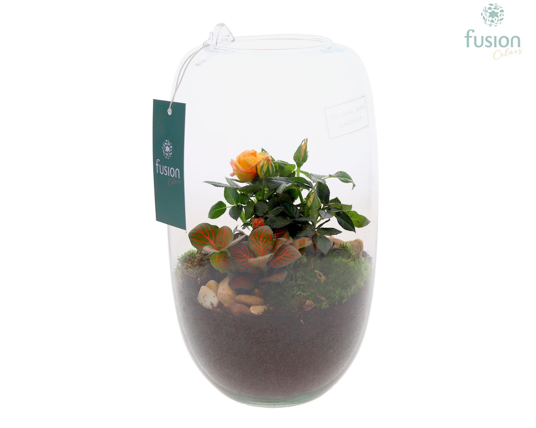 Green Bottle Isabella Medium met arrangement, D 15