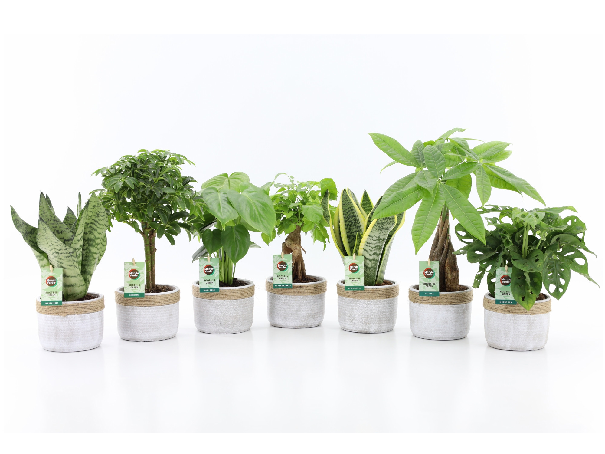 Easy to Care mix in Sturdy, D 13