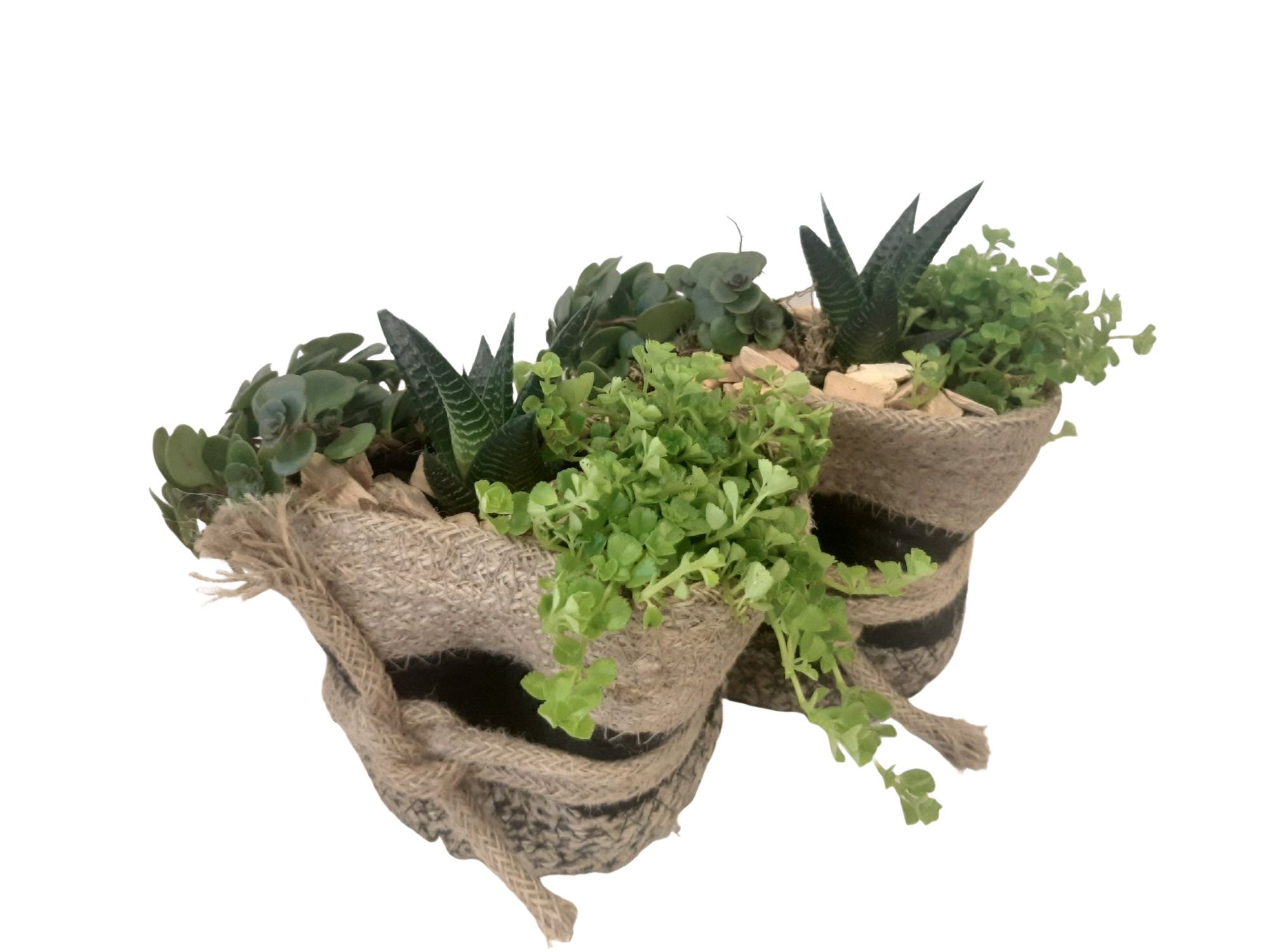 JMBW13GMX Jute mand Black Wrapped D15 mini groenmix, D 14