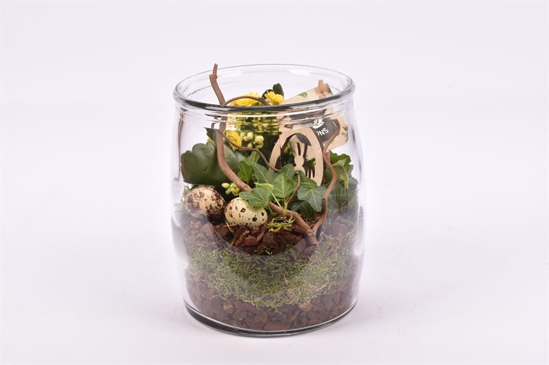 Glas cilinder bol 14cm, D 14