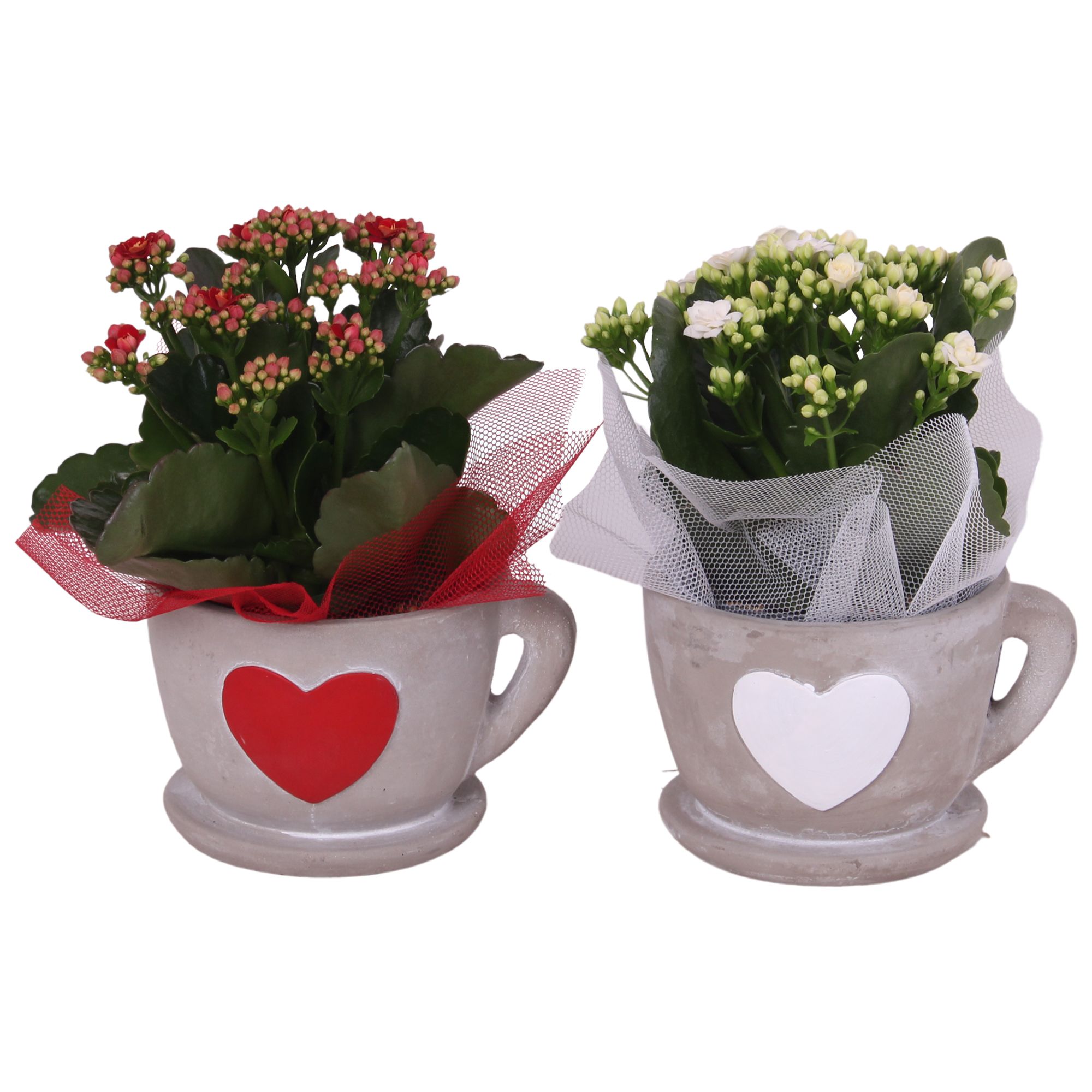 Valentine Arr. Indoor Ceramic Cup Hearts Red/White Ø15cm 1PP, D 15