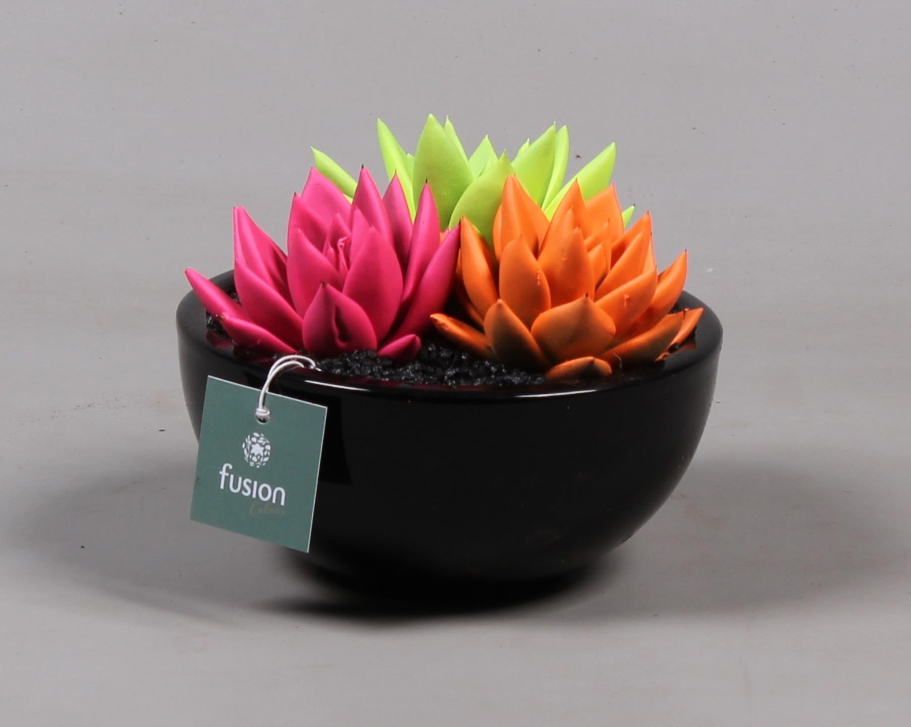keramiek moonschaal met geverfde succulenten, D 15 cm keramiek moonschaal met geverfde succulenten, D 15 cm