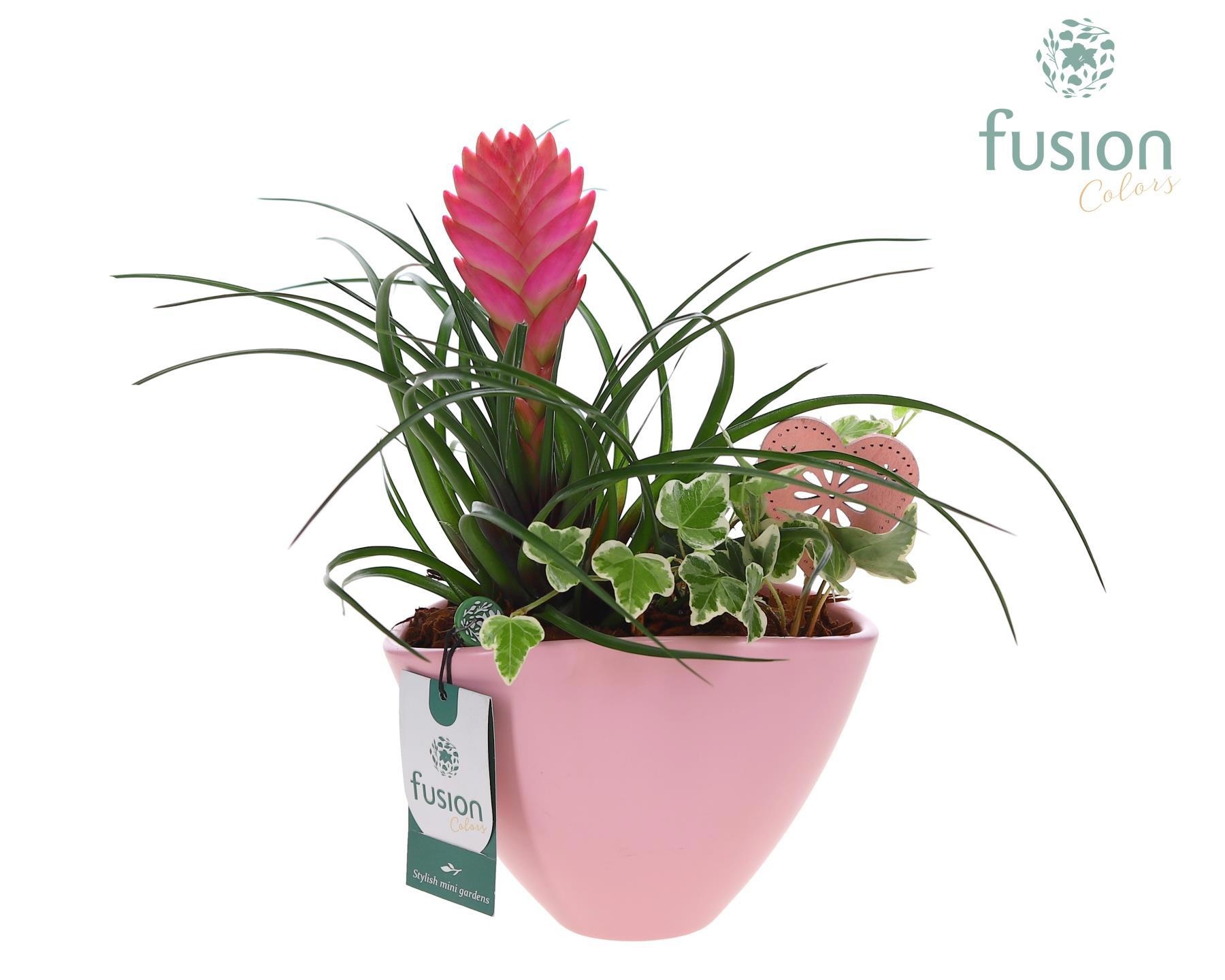 Pot keramiek ovaal Medium met Arrangement, D 18