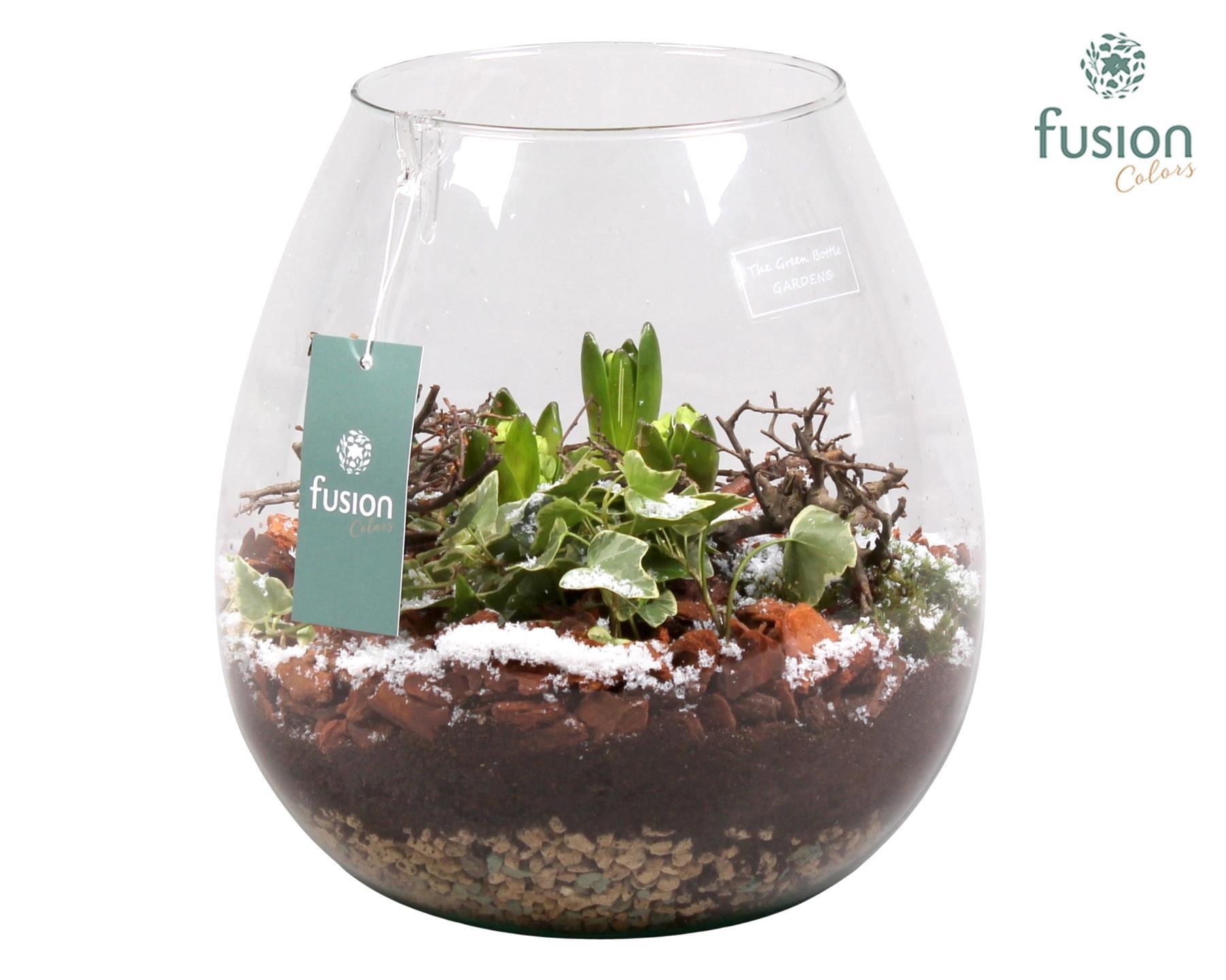 Green Bottle Abby Large Kerst met Hyacint Arrangement, D 24